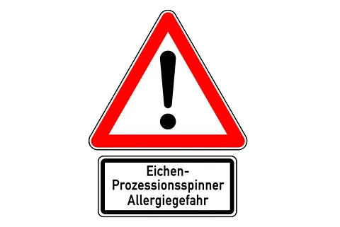 Warnschild mit einem roten Dreieck und einem schwarzen Ausrufezeichen in der Mitte. Darunter ein rechteckiges Zusatzschild mit der Aufschrift: "Eichen-Prozessionsspinner Allergiegefahr". Die Eichenprozessionsspinner sollte man unbedingt von einer Firma entfernen lassen. 